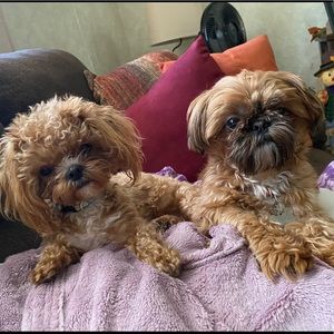 Meet your Posher, Erica